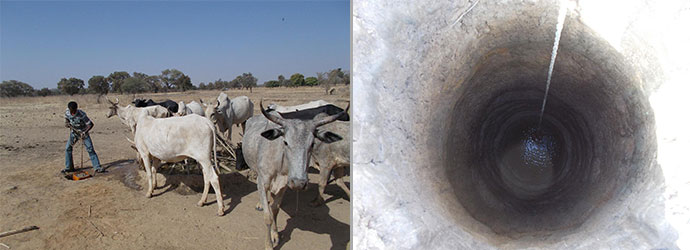 03-2015-pozzo-tegsagbo-02