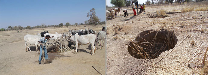 03-2015-pozzo-tegsagbo-04