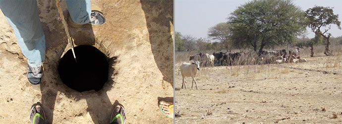 03-2015-pozzo-tegsagbo-06