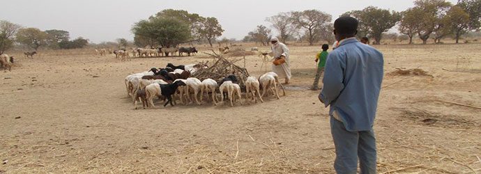 03-2015-pozzo-tegsagbo-09