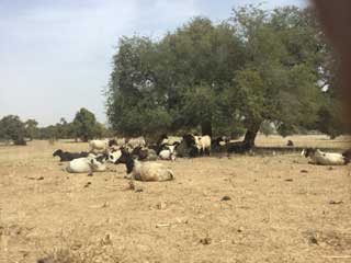 01 16 pozzo djika.burkina faso 06