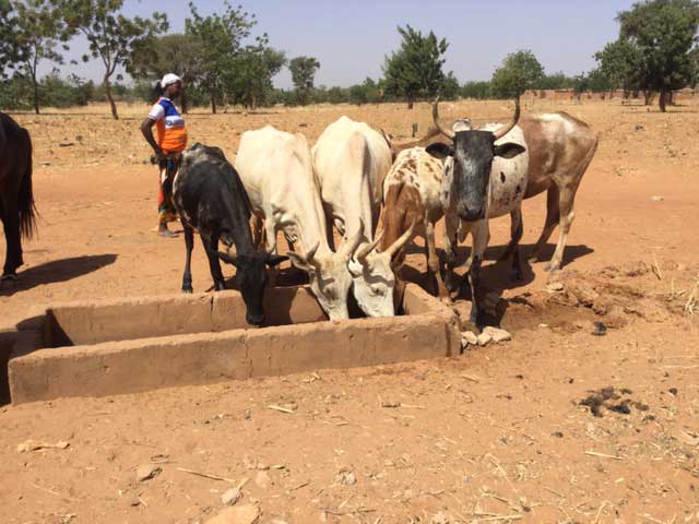 01 2016 pozzo africa boussouma 04