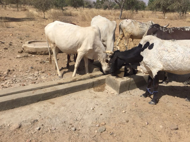 02 2016 pozzo bissiga 02