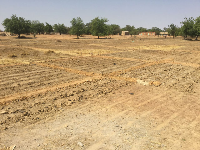 03 17 Pozzo agricoltura Lidmalaguem burkina 04