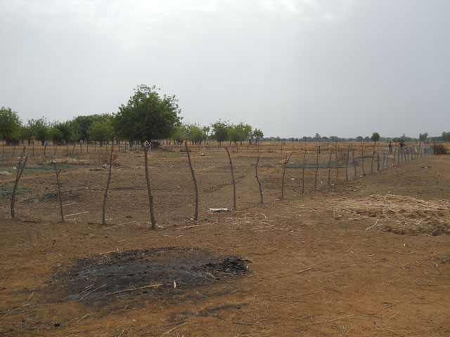 03 17 Pozzo agricoltura Lidmalaguem burkina 07