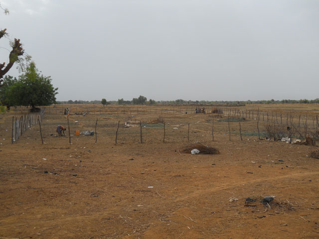 03 17 Pozzo agricoltura Lidmalaguem burkina 08