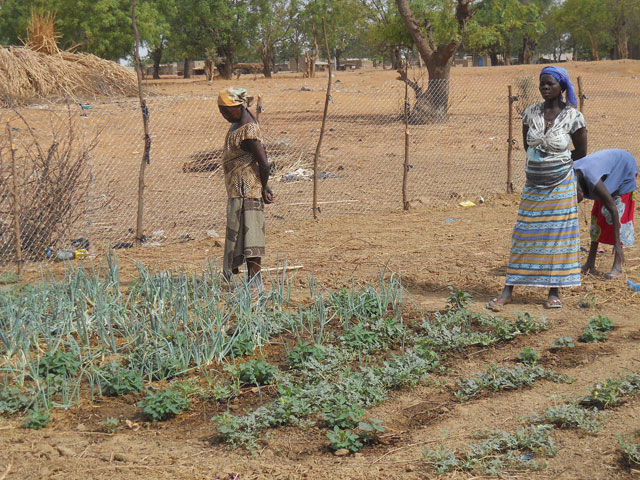 03 17 Pozzo agricoltura Lidmalaguem burkina 12