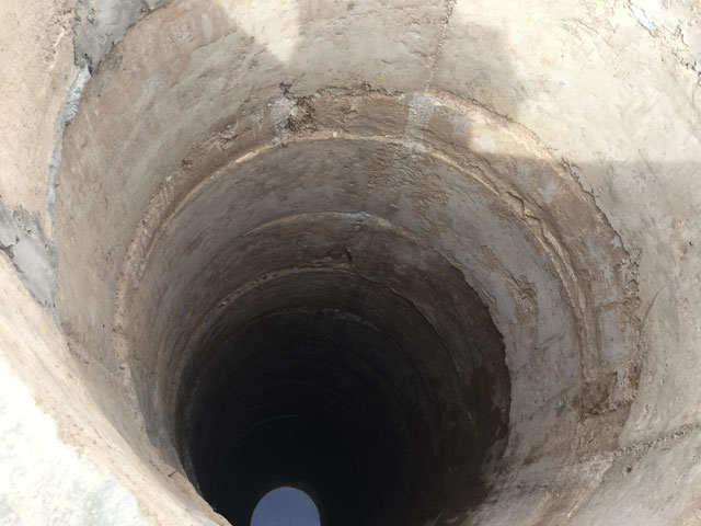 01 19 pozzo meme africa 02