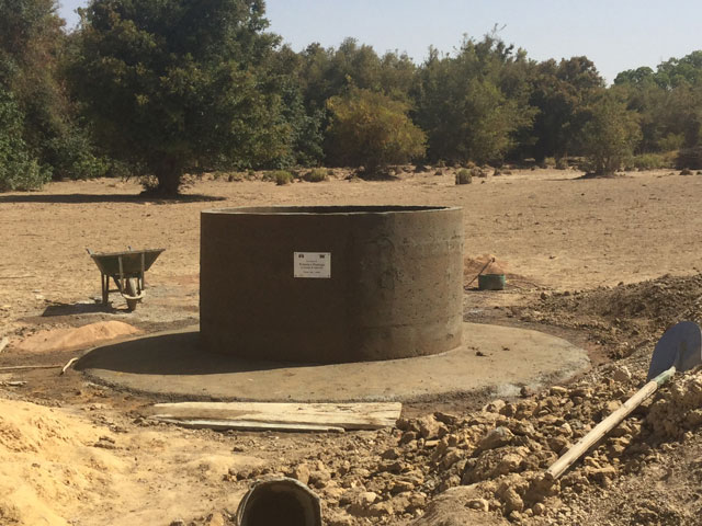 01 19 pozzo nare africa 07